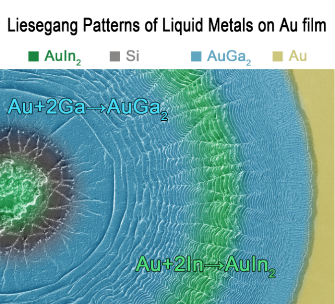 中科院理化所劉靜、王倩團(tuán)隊(duì)Adv. Mater.：液態(tài)金屬的鬼斧神工，在金屬表面精雕細(xì)刻造就美妙Liesegang圖案！